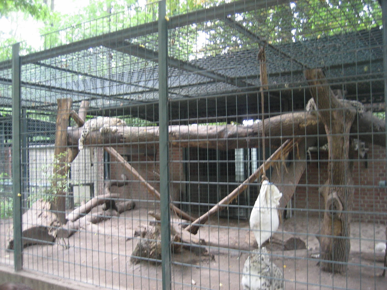 Leipzig Zoo - Snow leopard exhibit