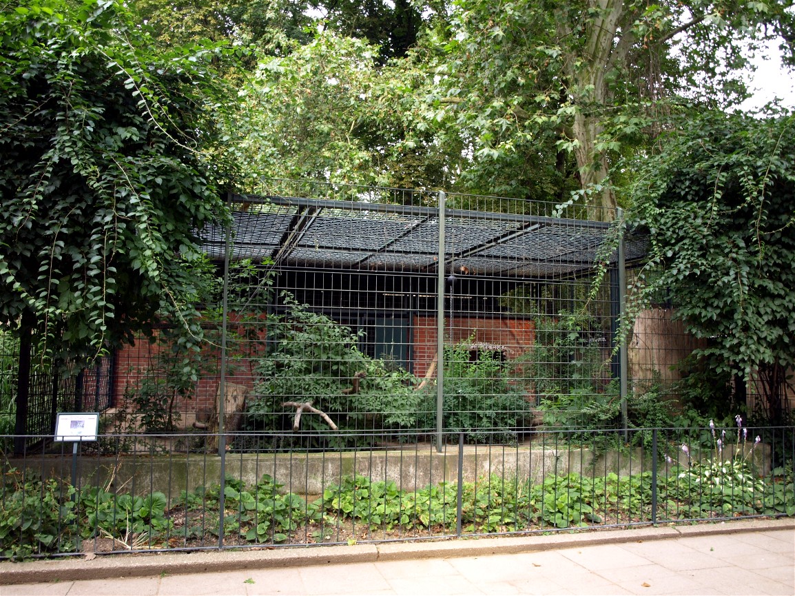 Leipzig Zoo - Snowleopard exhibit