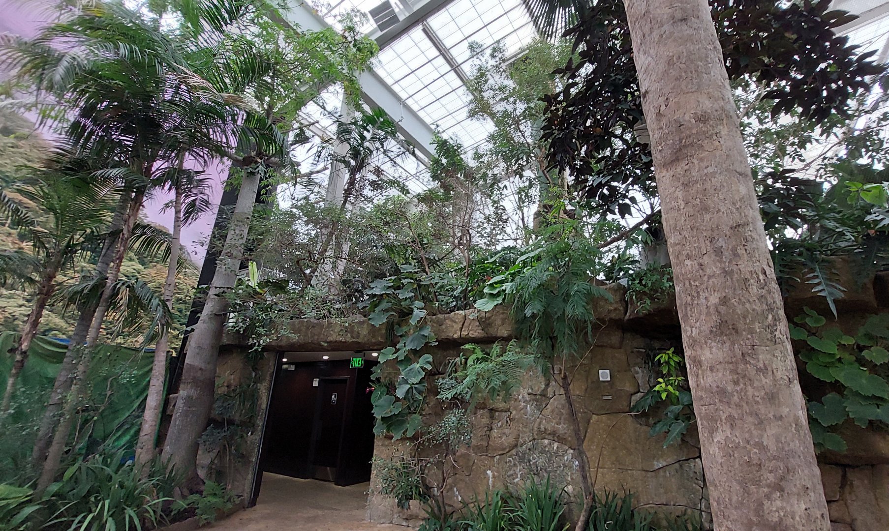 Lek Aviary- Cloud Forest Trek