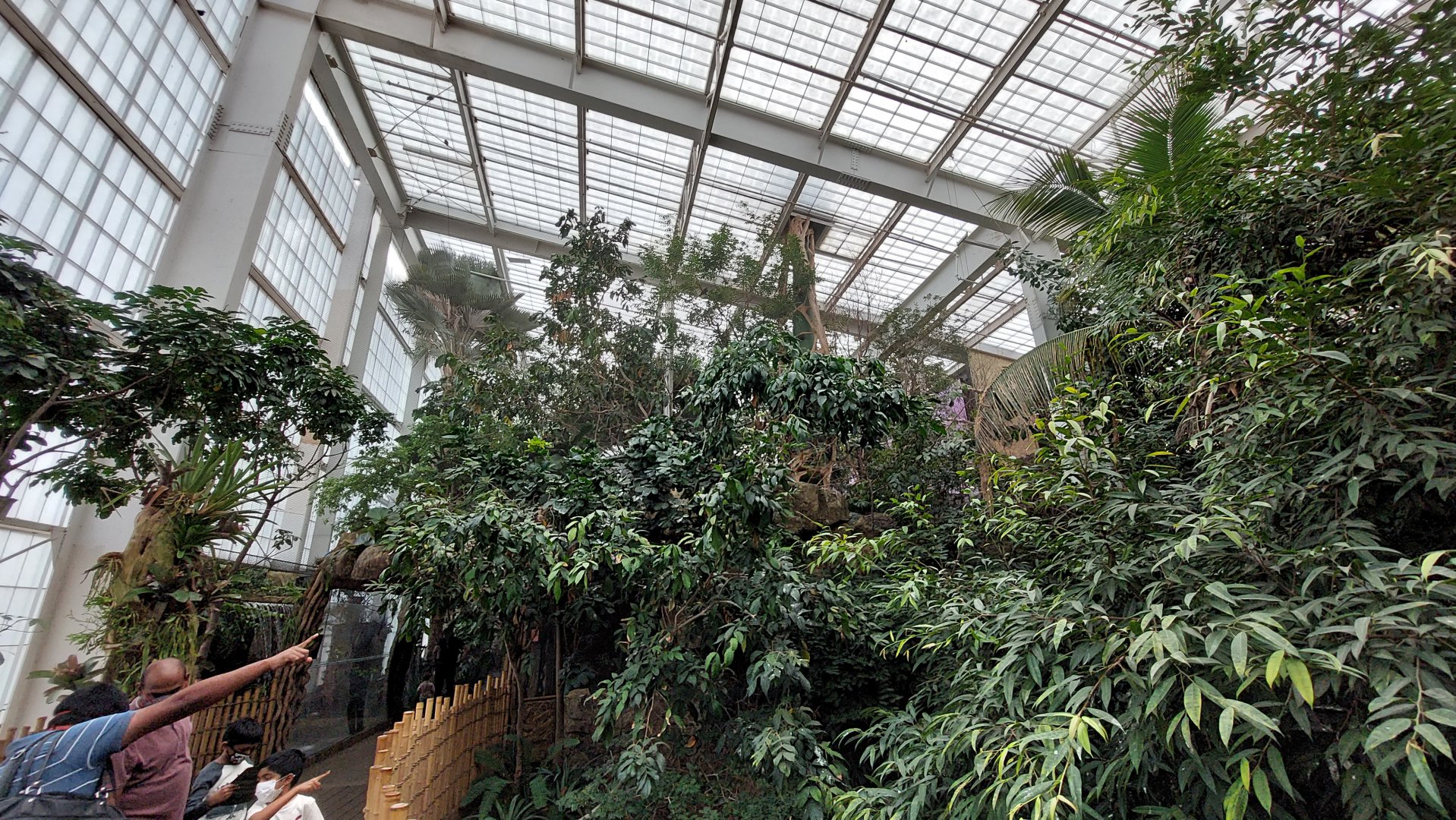 Lek- Cloud Forest Trek Aviary behind Monkey Island