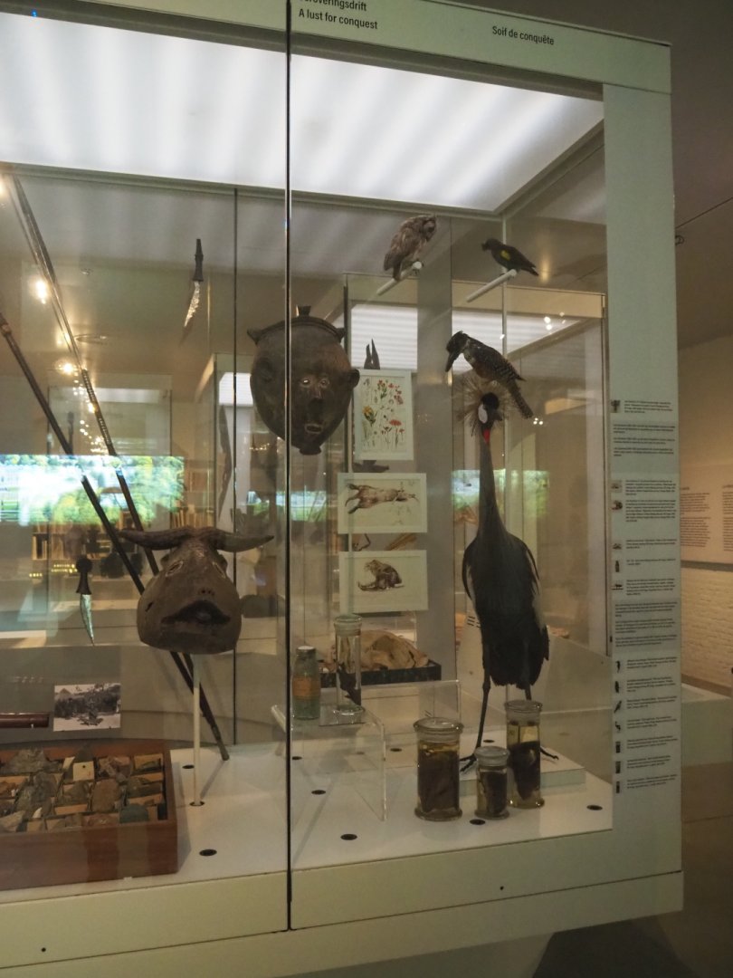 Lemaire expedition (1898-1900) objects and specimens display, 2021-10-20