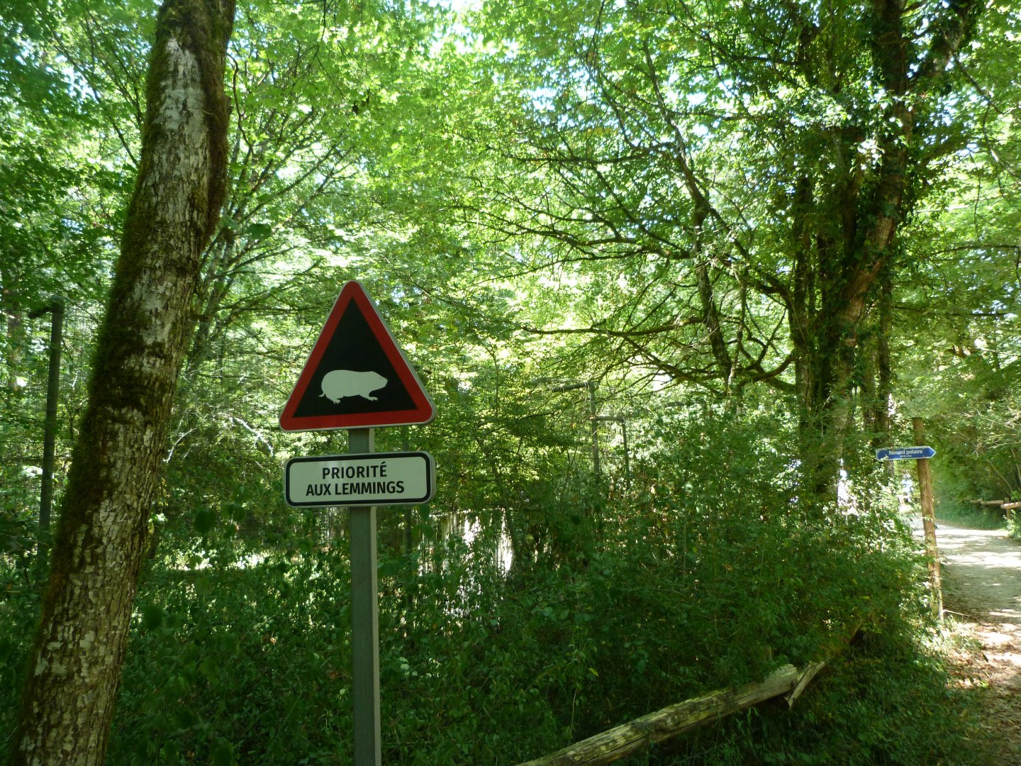 Lemming crossing sign -Zoodyssée (2025)