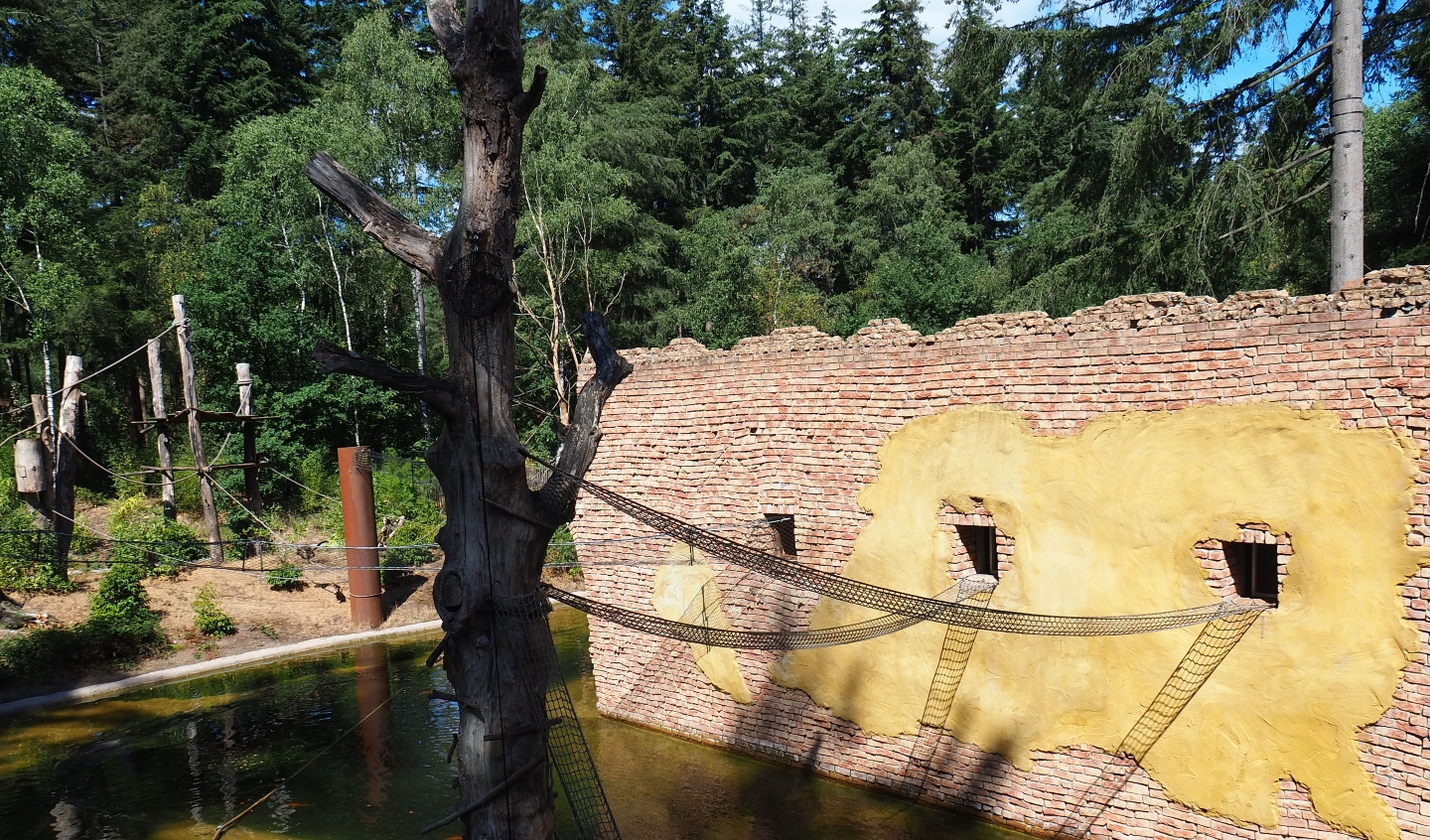 Lemur and capuchin house and island access