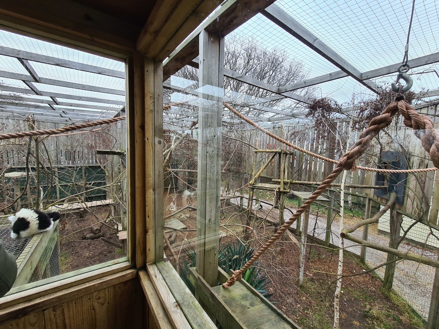 Lemur and Dik-Dik Exhibit, Fenn Bell