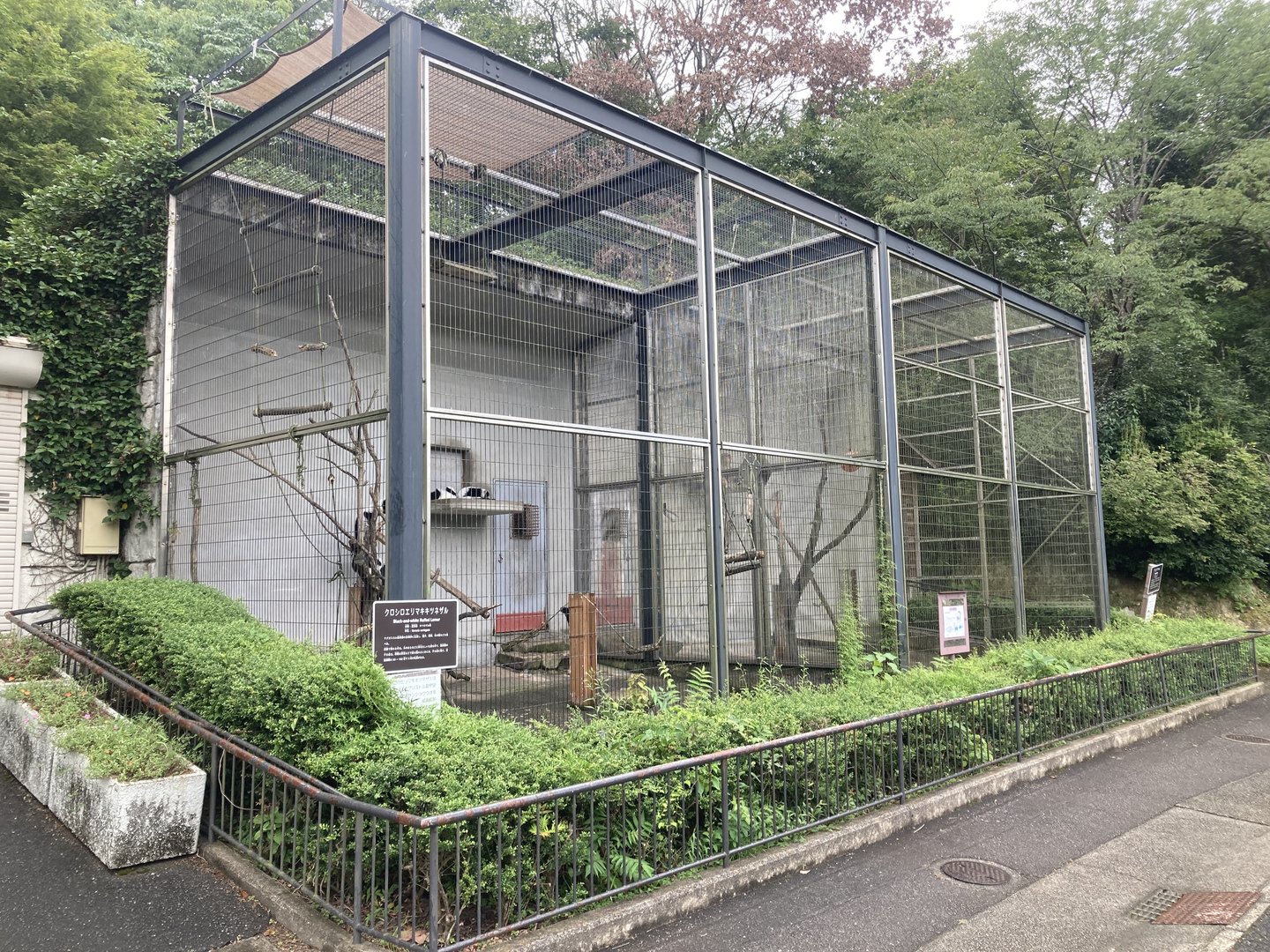 Lemur and macaque cages