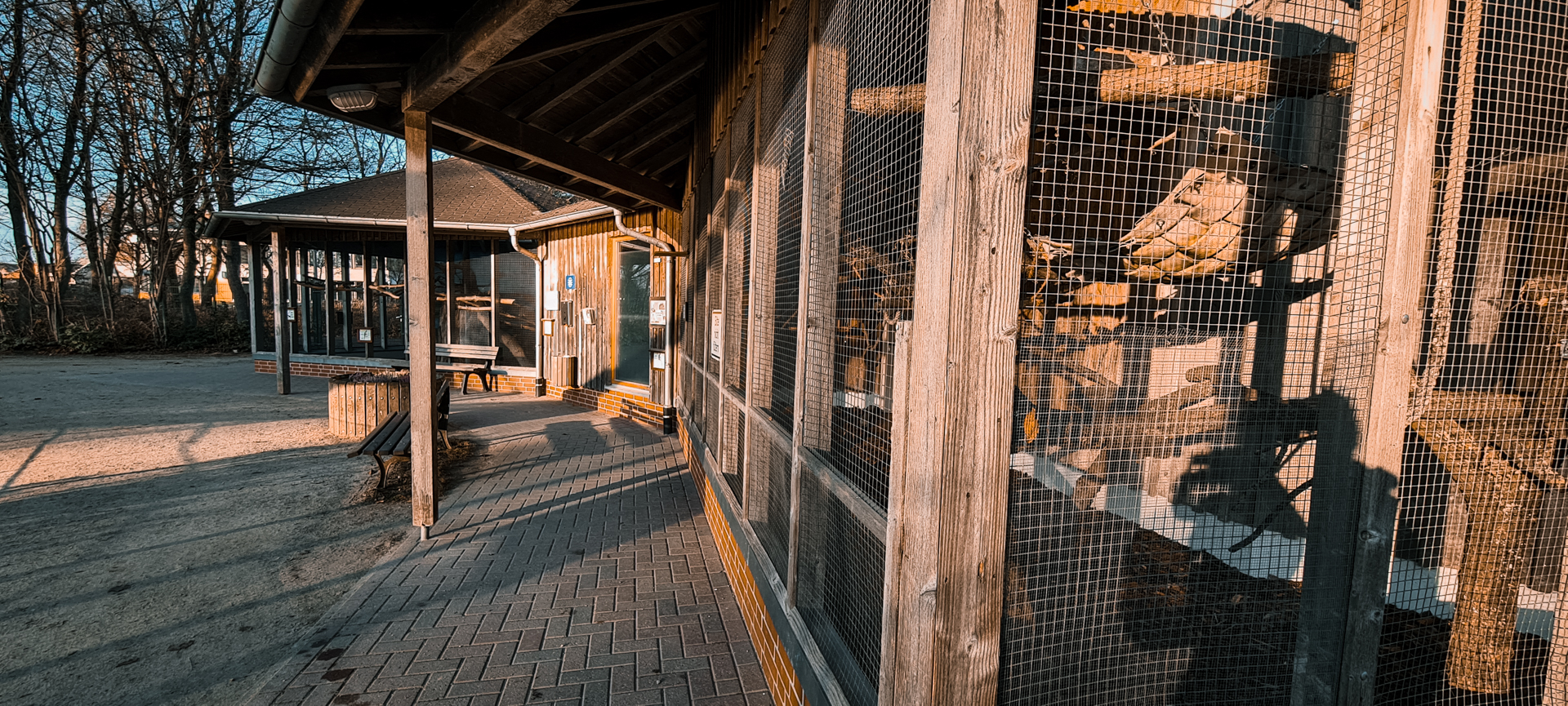 Lemur and macaw outdoor enclosures