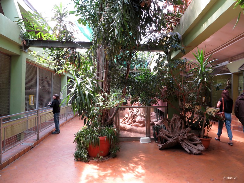 Lemur and Reptile House (2014)