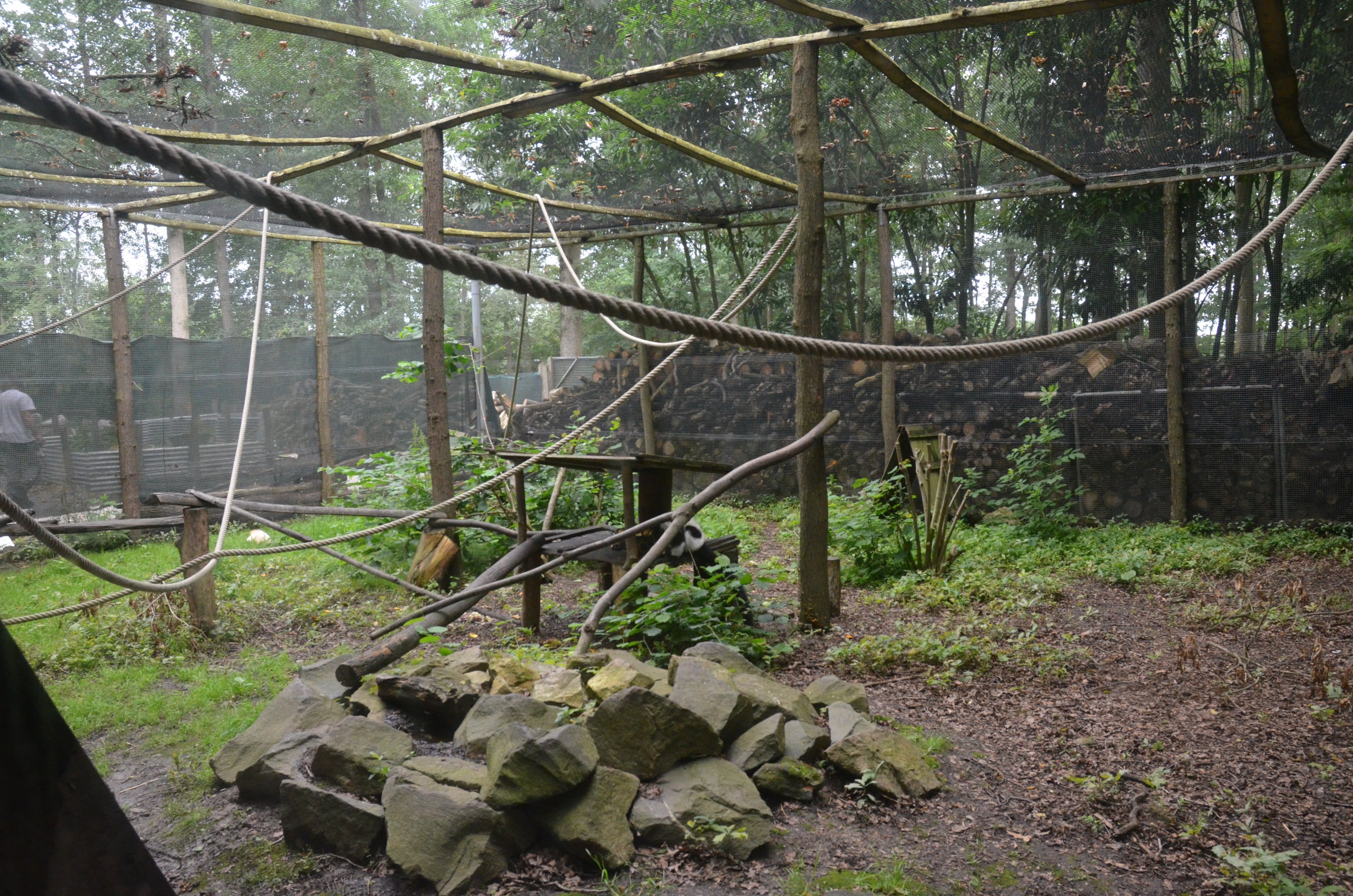 Lemur and Skunk Enclosure at Spaycific'Zoo, 13/06/18