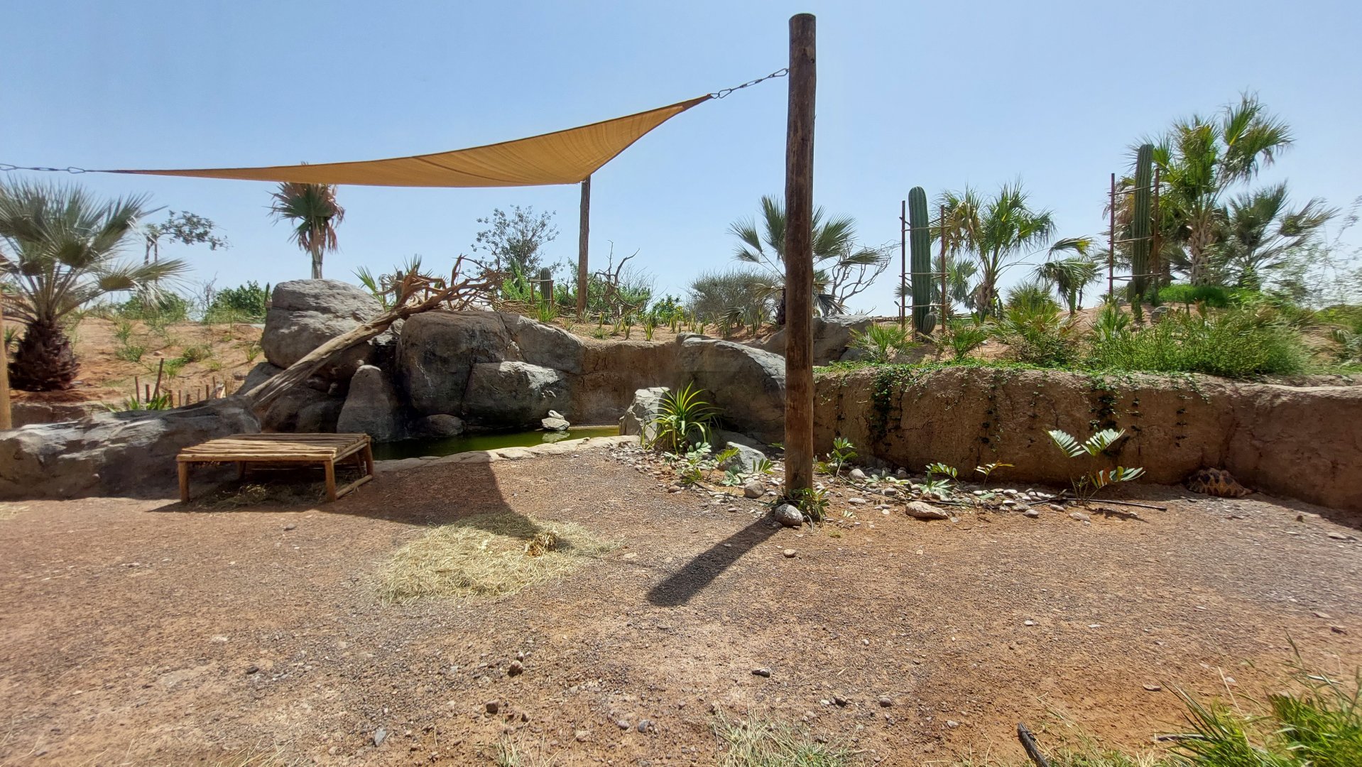 Lemur and tortoise enclosure