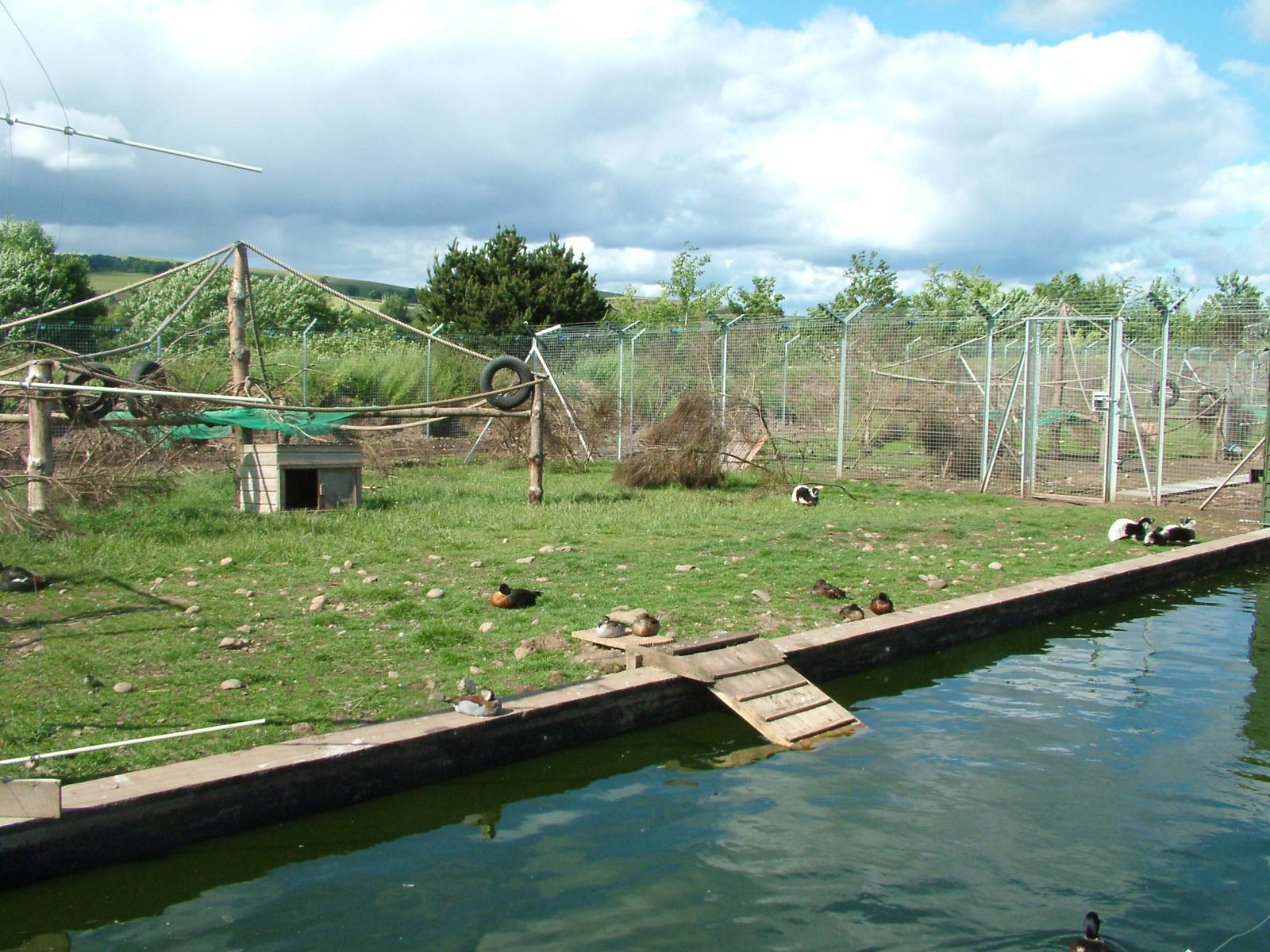Lemur and waterfowl enclosure at Fife Animal Park 2008