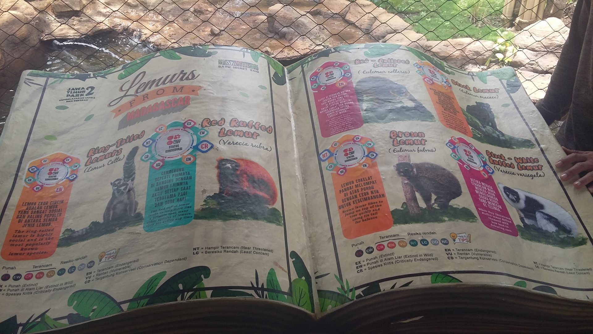 Lemur aviary information panel