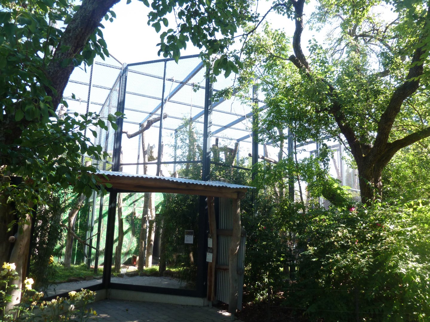 Lemur aviary - lateral viewing point