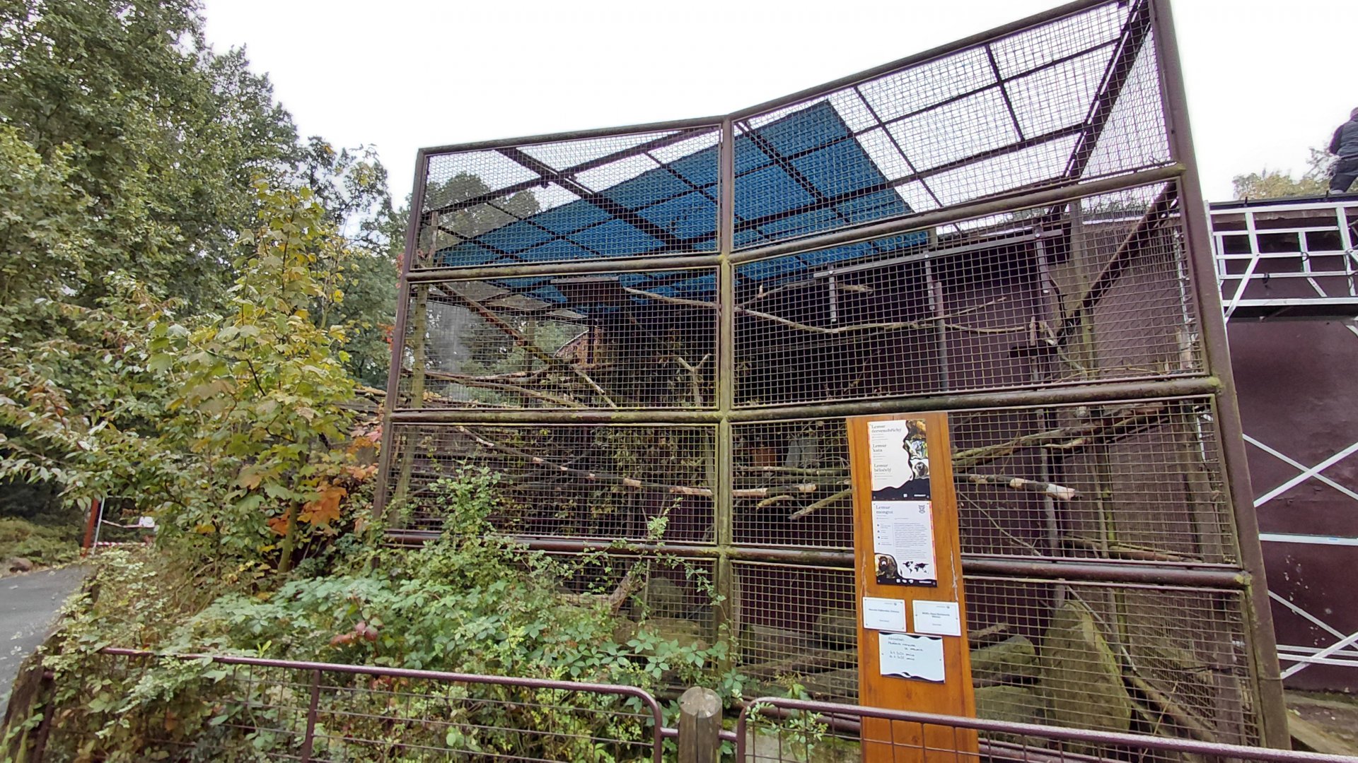 Lemur cage