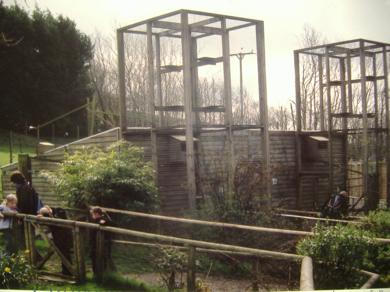 Lemur cages at Exmoor Zoo