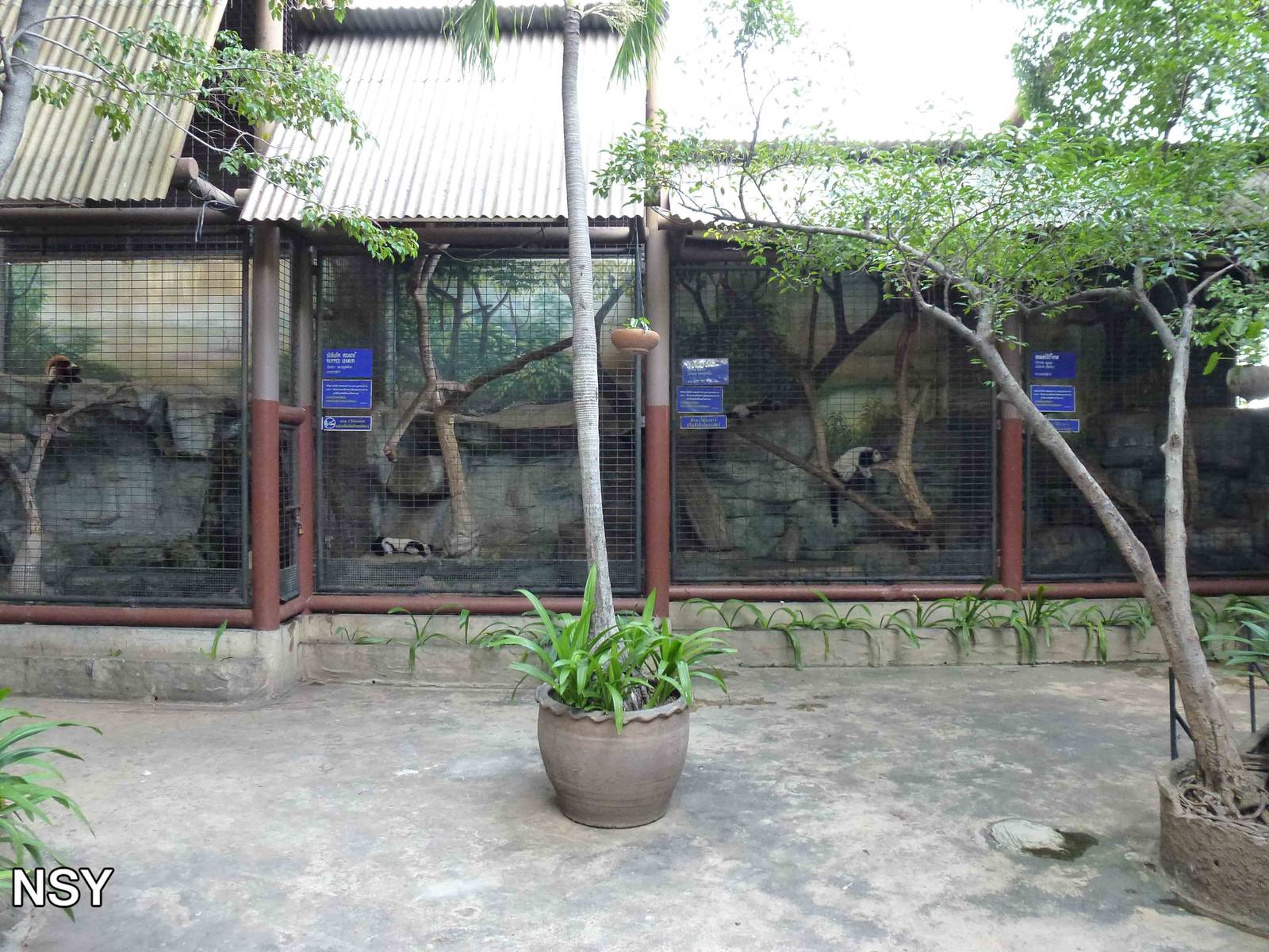 Lemur cages, June 2013.