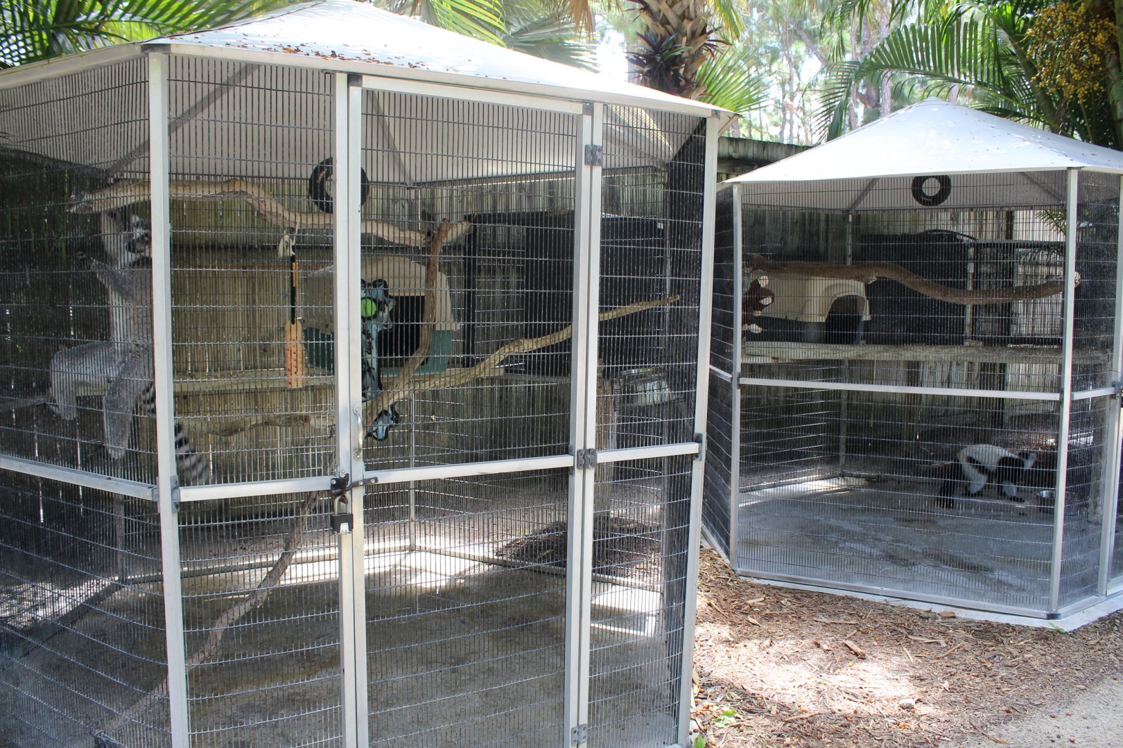 Lemur Cages - Mccarthy Wildlife Sanctuary