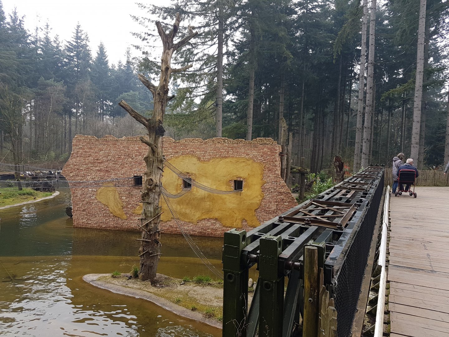 Lemur - Capucine House