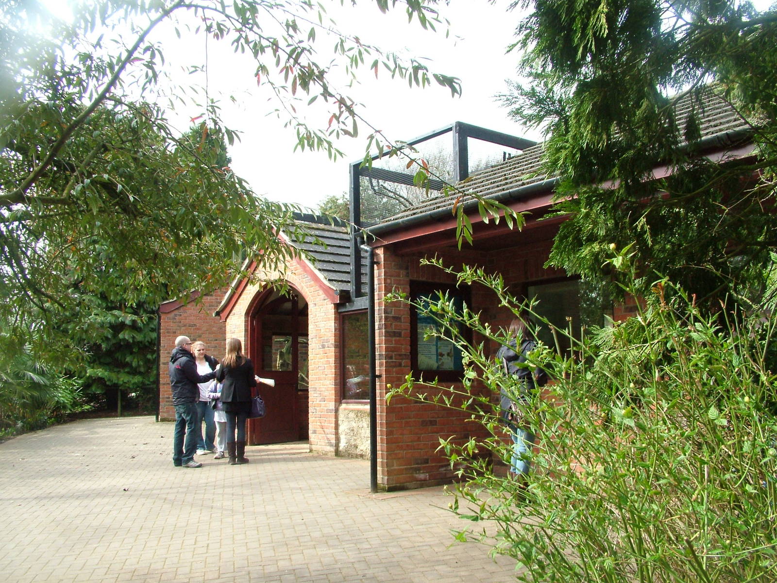 Lemur complex at Linton 05/04/10