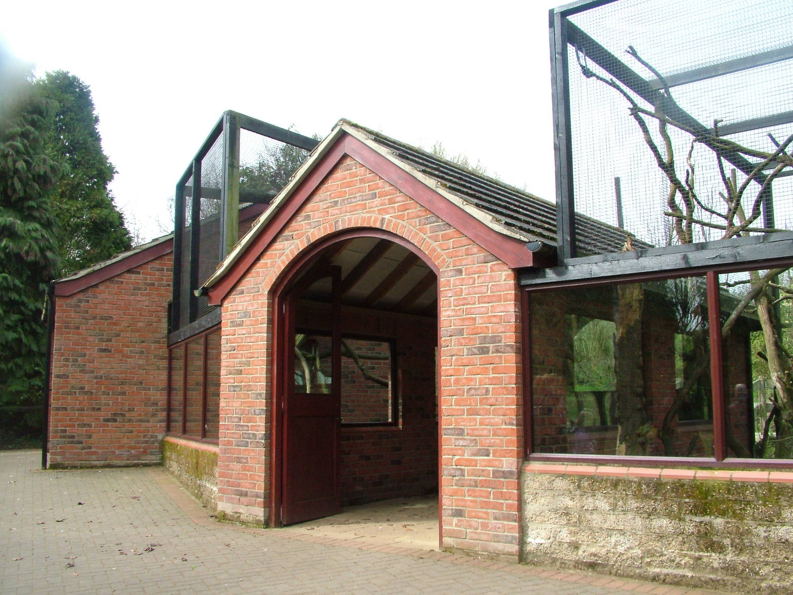 Lemur complex at Linton 05/04/10