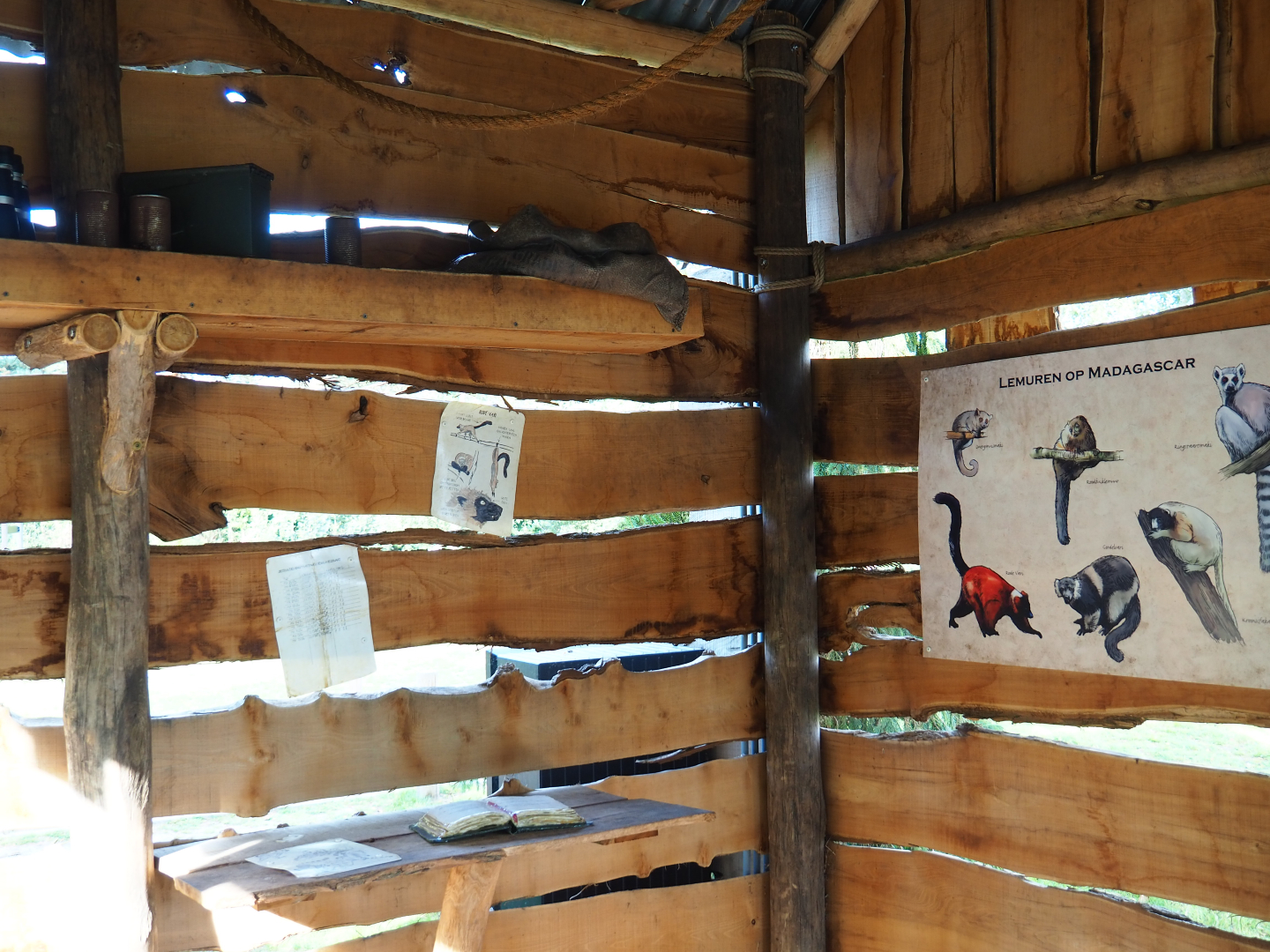 Lemur educational materials, 2019-09-15