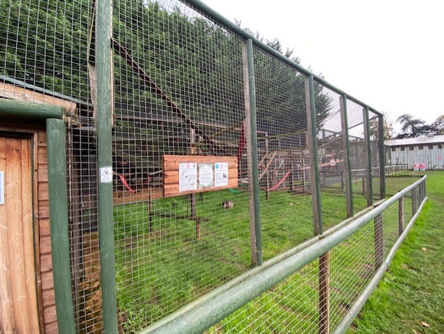 Lemur enclosure 051122