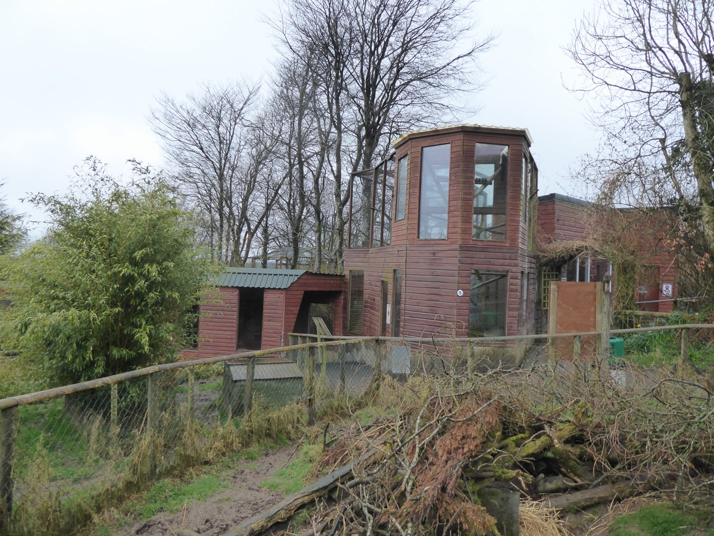 Lemur enclosure 150418