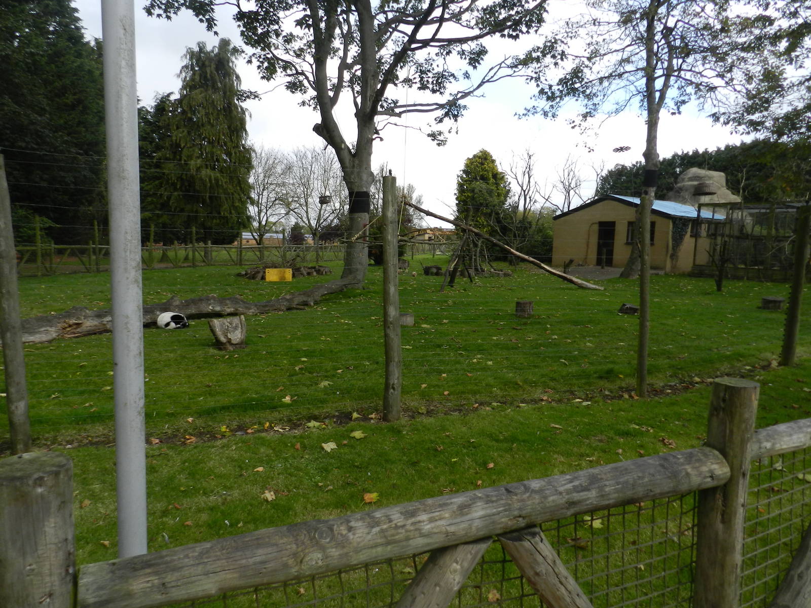 Lemur Enclosure at Flamingo Land - 14/10/2012