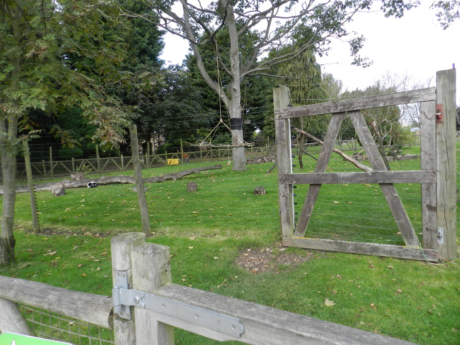 Lemur Enclosure at Flamingo Land - 14/10/2012