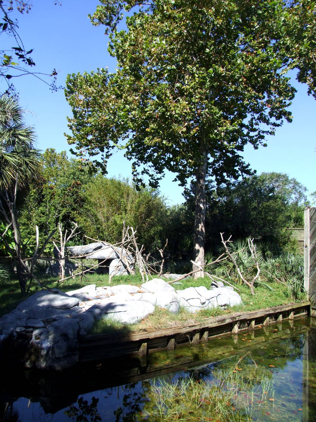 Lemur Enclosure at Jacksonville, 10/10/13
