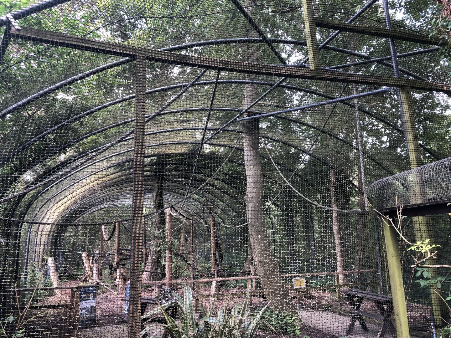 Lemur Enclosure at Lakeland Wildlife Oasis (2020)