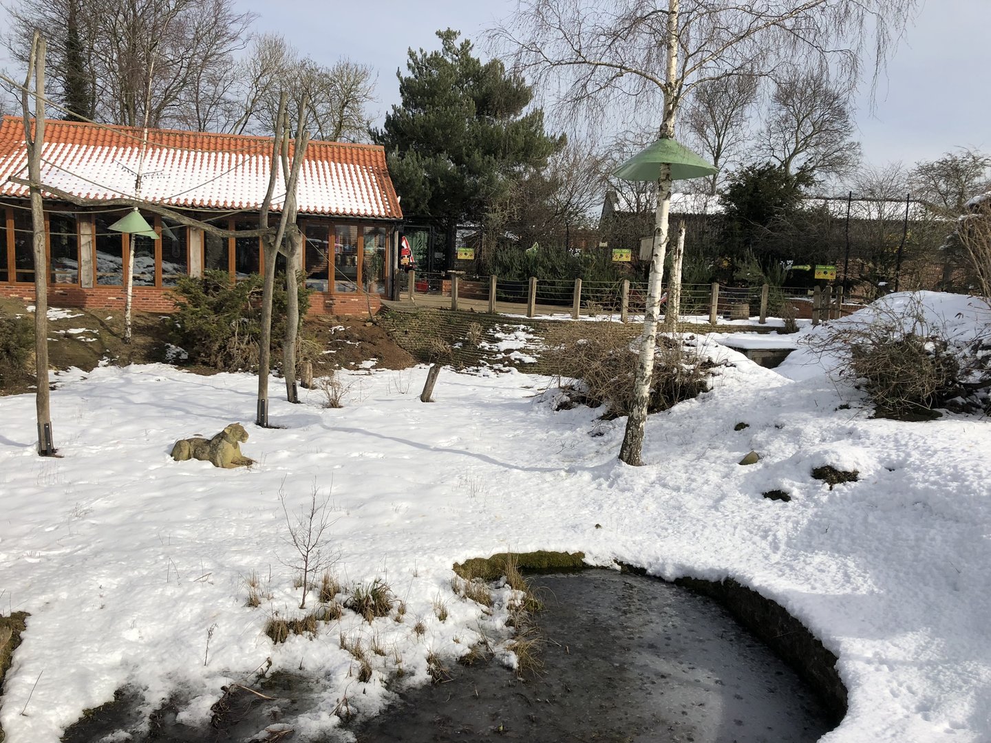 Lemur Enclosure at Tropical Butterfly House (March 2023)