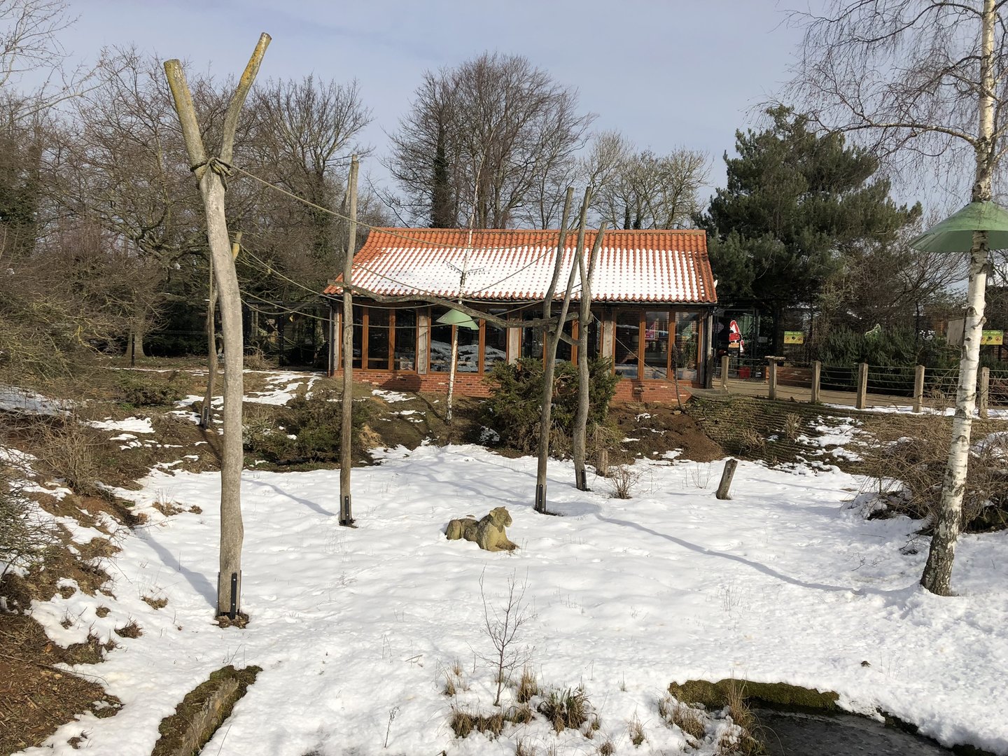 Lemur Enclosure at Tropical Butterfly House (March 2023)