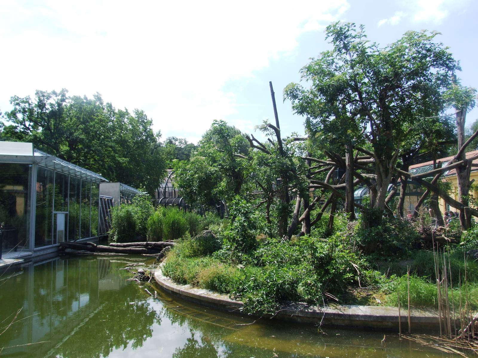 Lemur Enclosure at Vienna, 14/06/13