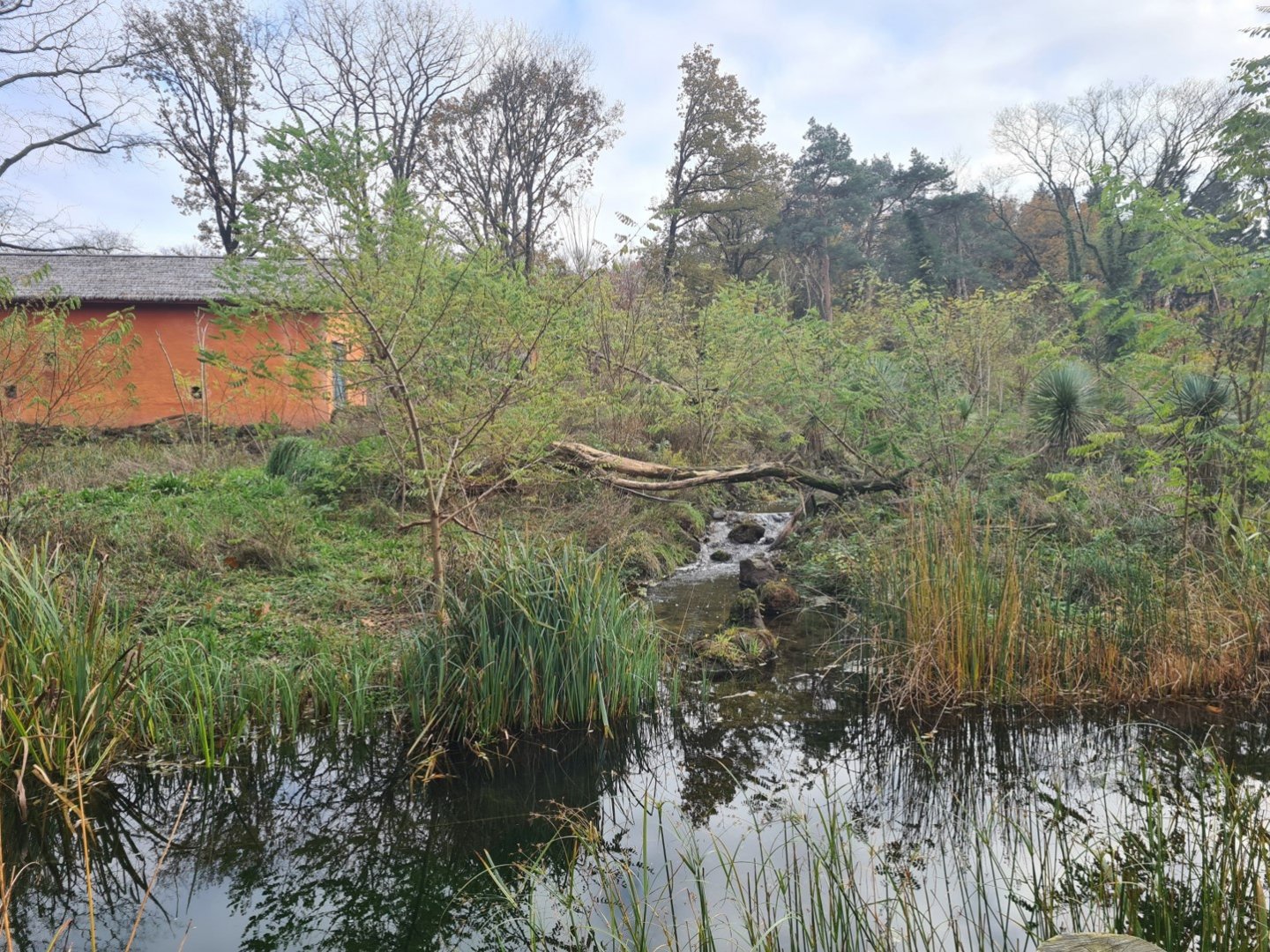 Lemur enclosure (Bottom view)