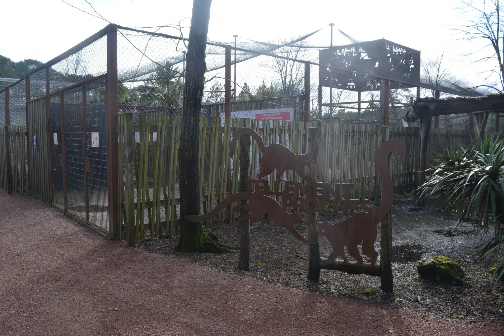 Lemur enclosure entry