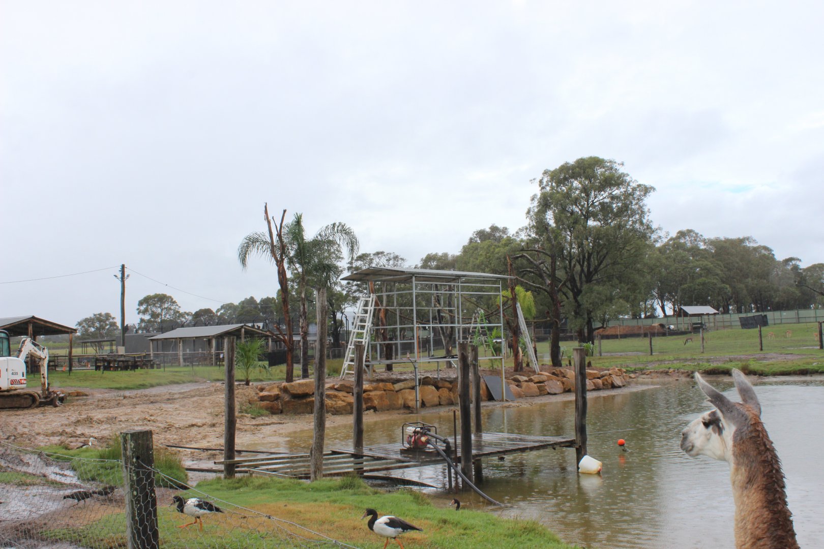 Lemur enclosure in the making