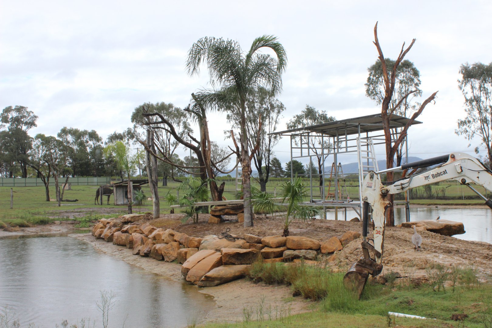 Lemur enclosure in the making