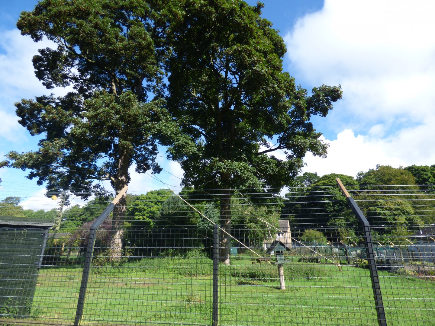 Lemur Enclosure (Now home to Lion-tailed Macaque)