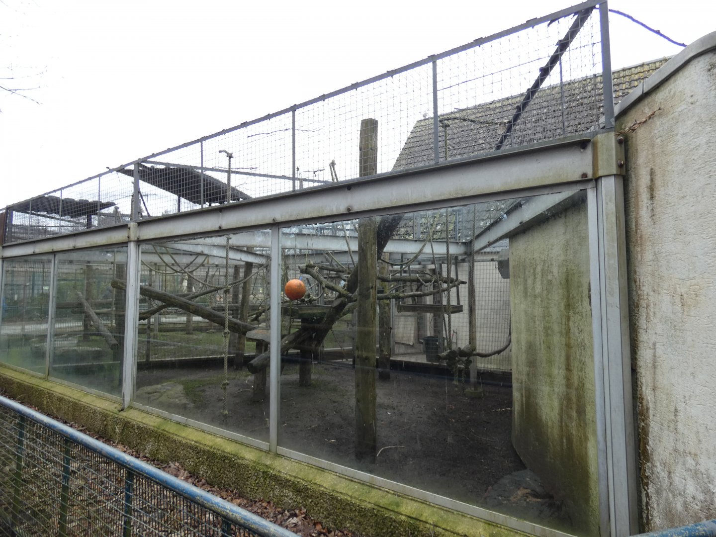 Lemur enclosure on small monkey house