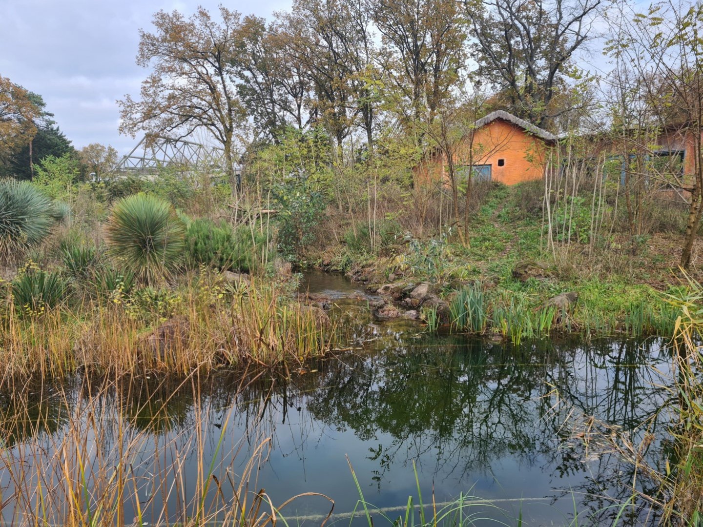 Lemur enclosure (Top view)