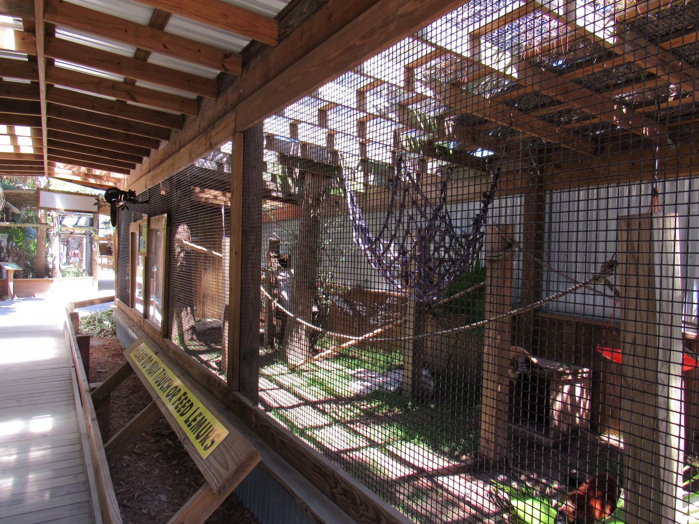 Lemur Enclosure - Wild Florida