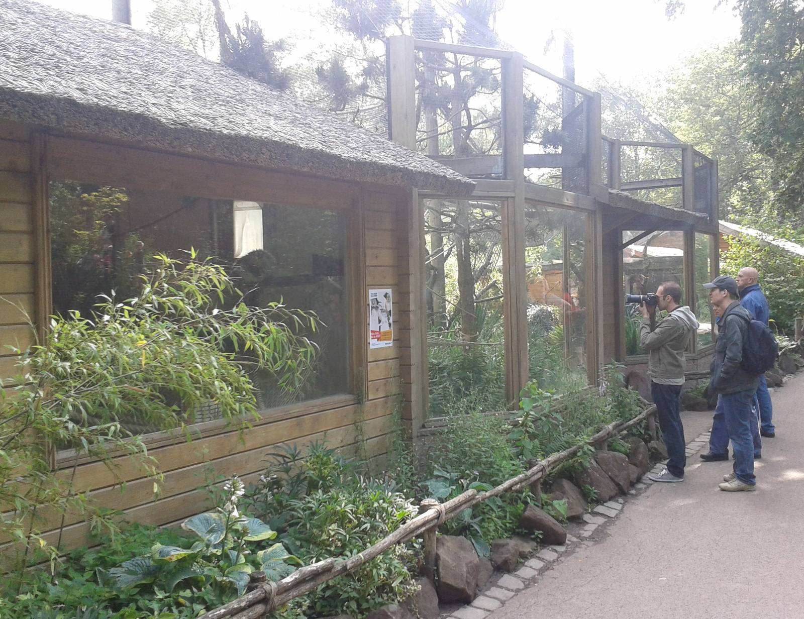 Lemur enclosure