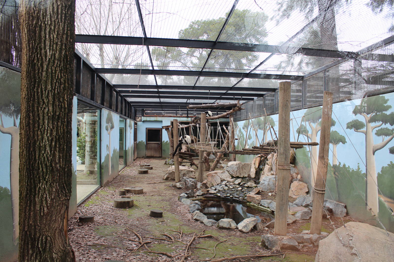 Lemur Enclosure