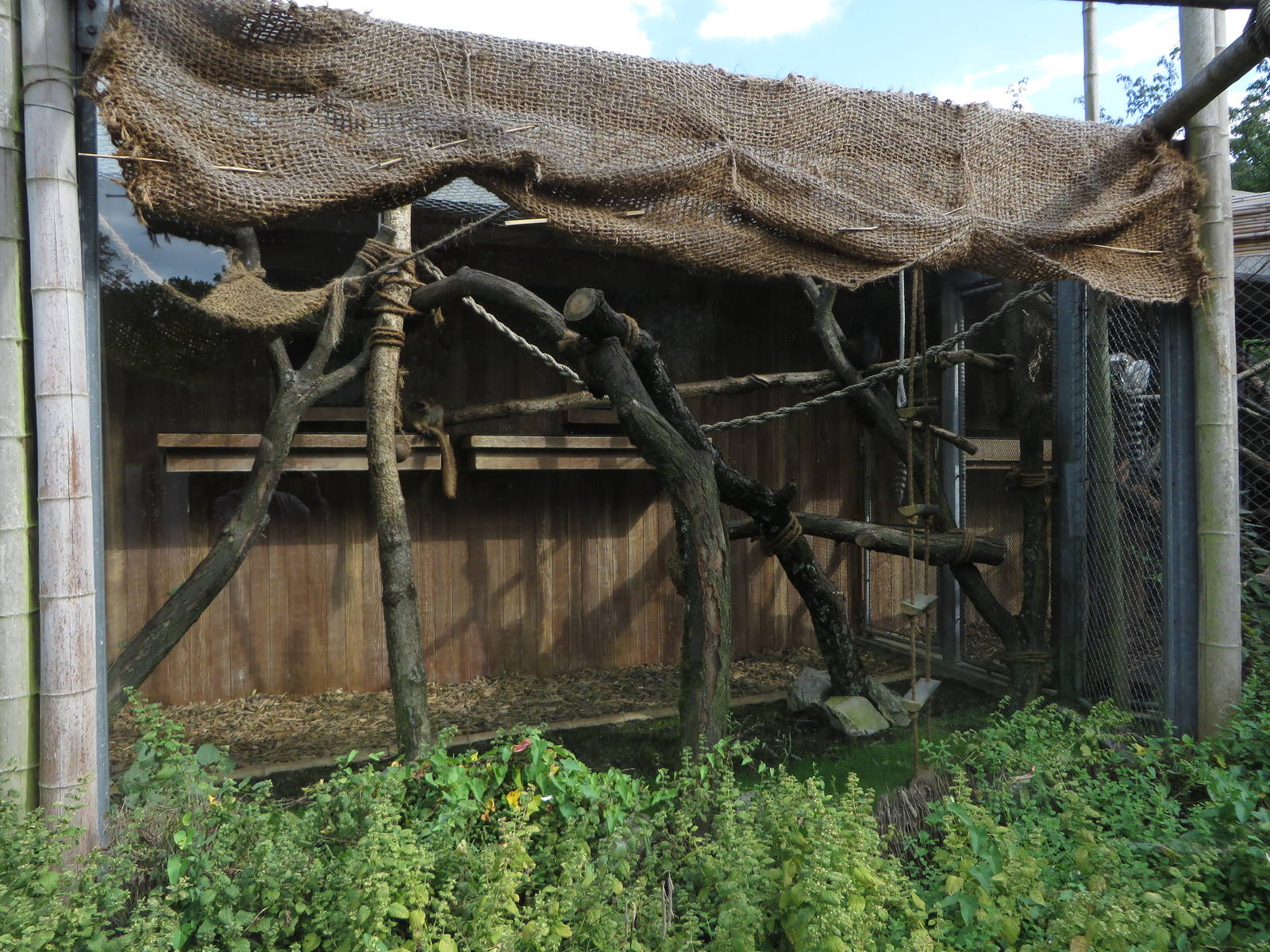 Lemur enclosure