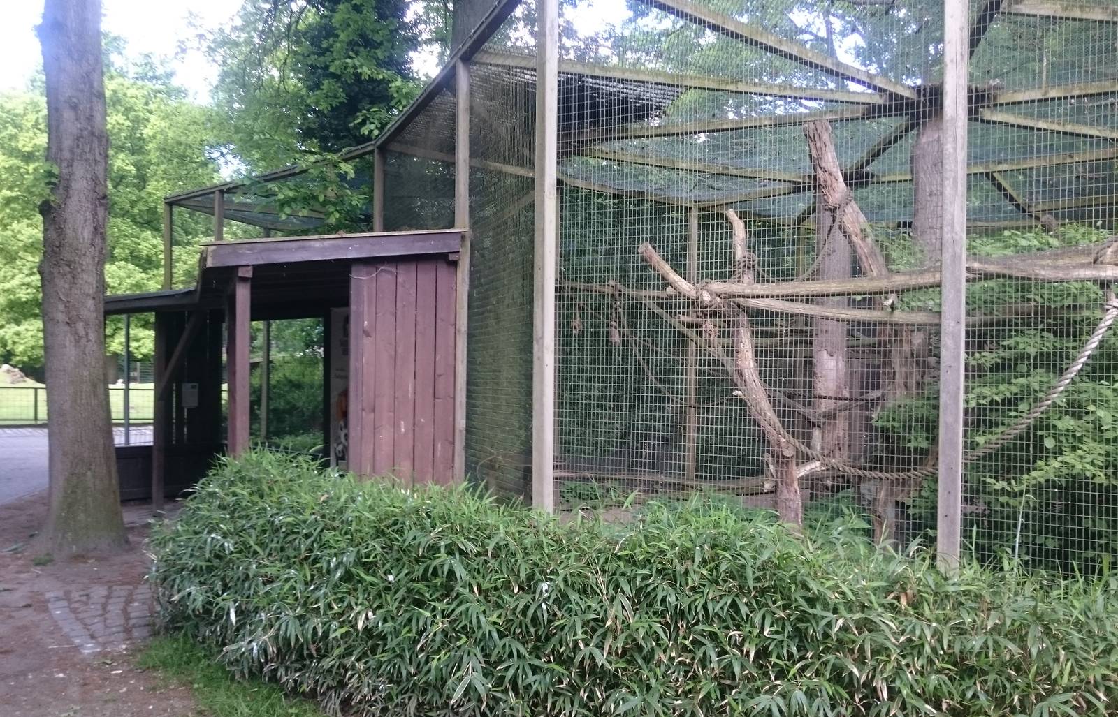 Lemur enclosure
