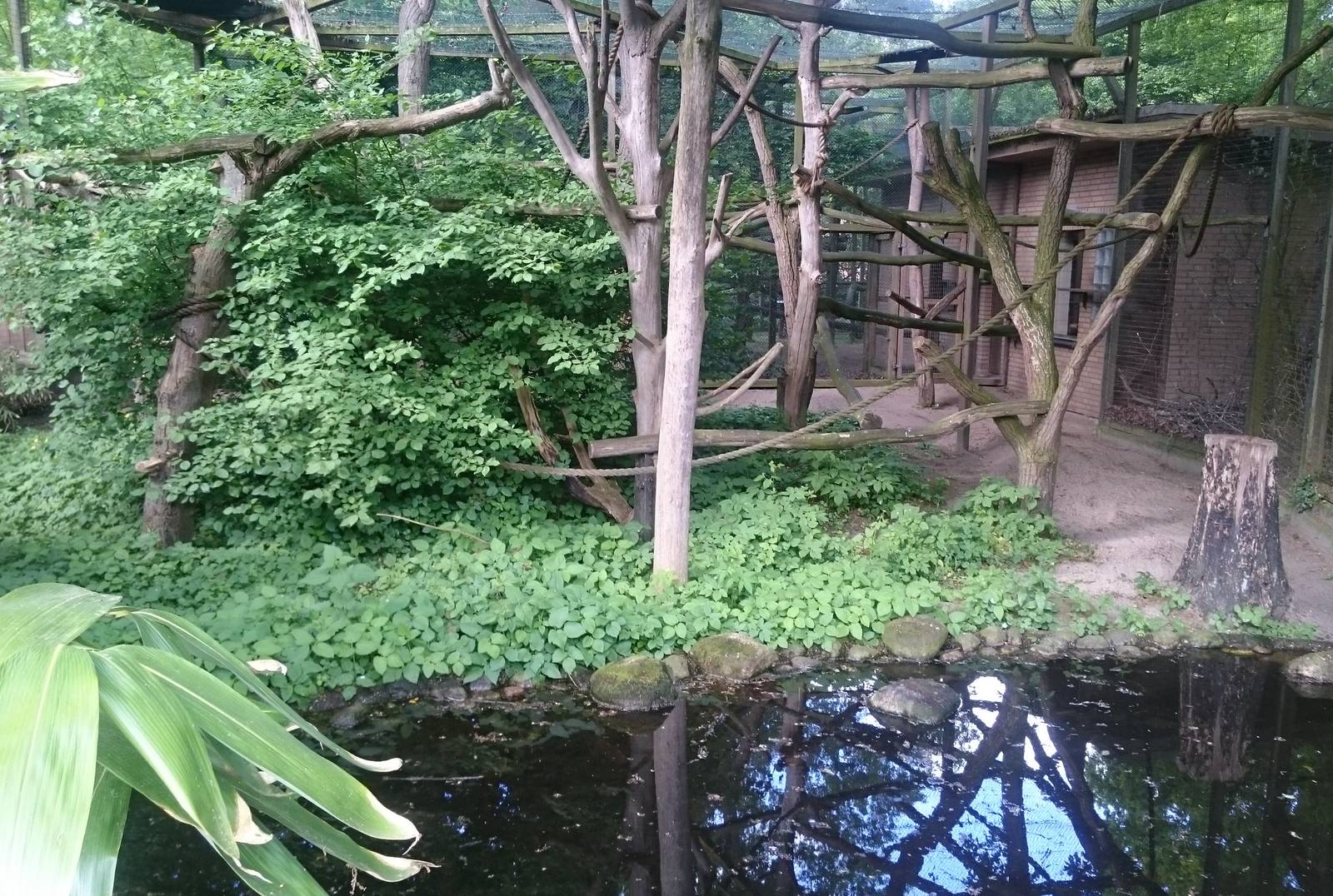 Lemur enclosure