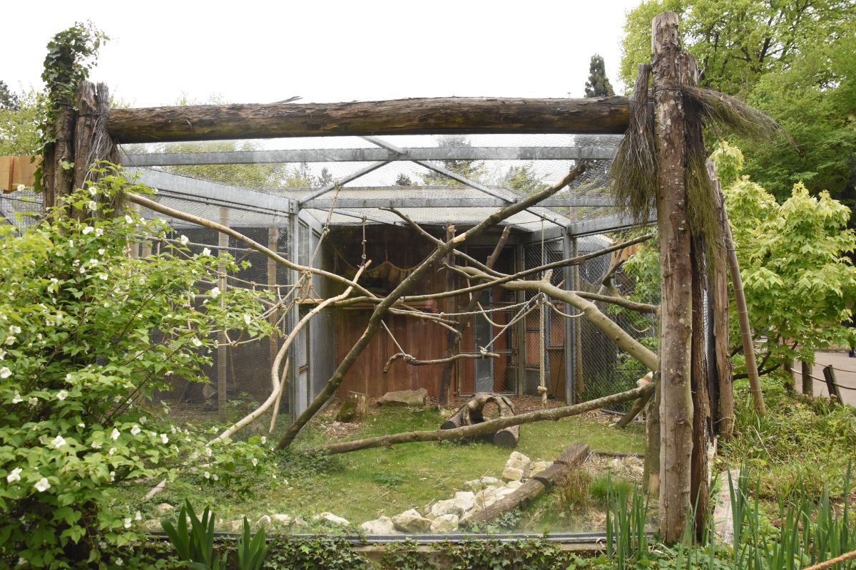 Lemur enclosure