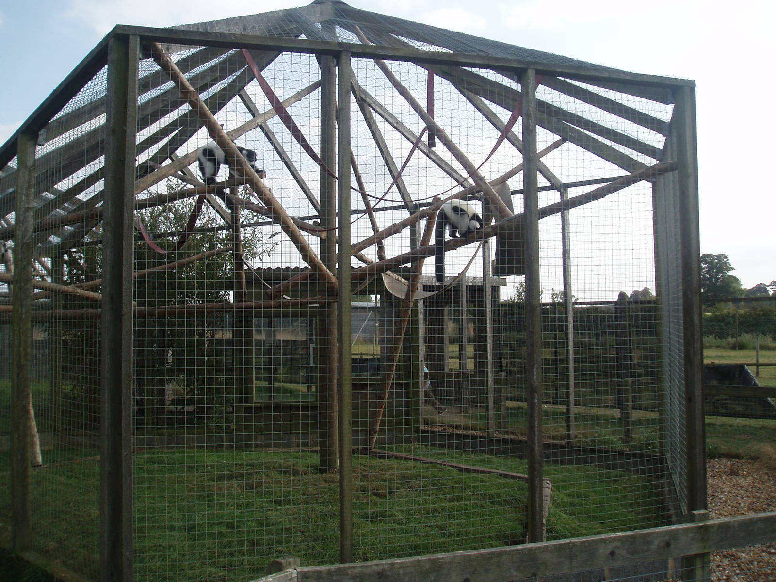Lemur enclosure