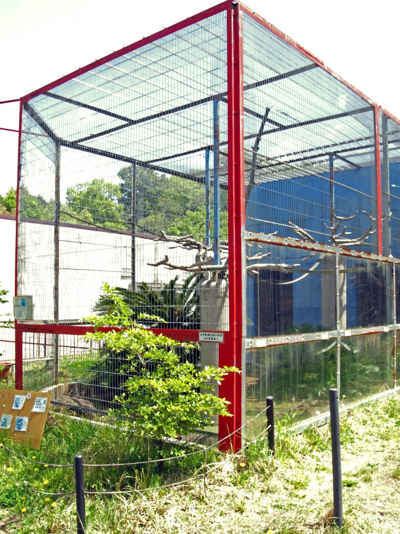 Lemur enclosure