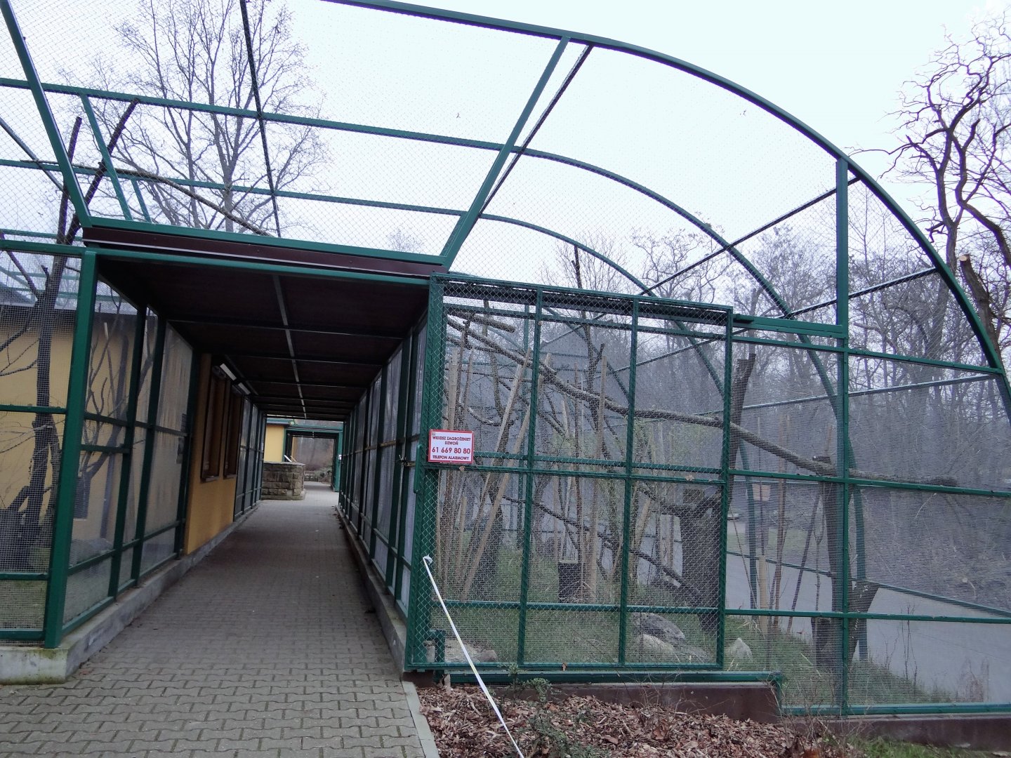 Lemur enclosures after renovation.